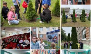 Созвездие 11.07